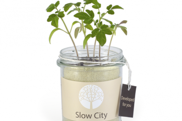 slow_city